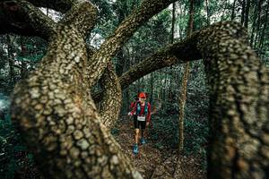 BIB: 
                            <button type="button" onclick="openModal(25393957)" class="btn btn-primary btn-sm float-right btn-popup" data-toggle="modal" data-target=".modal-high-quality">
                        <i class="fas fa-shopping-cart"></i> Add to Cart
                    </button>
                                            <button type="button" onclick="isThisMe(25393957, true)" class="btn btn-success btn-sm float-right btn-popup btn-isme hidden" data-toggle="tooltip" data-placement="bottom" title="นี่คือรูปของคุณใช่ไหม คลิกที่นี่เพื่อเอาเข้าอัลบั้ม">
                        <i class="fas fa-plus"></i> Add to album
                    </button>
                    <button type="button" onclick="isThisMe(25393957, false)" class="btn btn-warning btn-sm float-right btn-popup btn-isnotme hidden">
                        <i class="fas fa-ban"></i> Remove from album
                    </button>